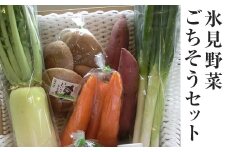 氷見野菜ごちそうセット