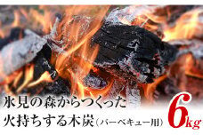 氷見の森からつくった火持ちする木炭（バーベキュー用）6kg　｜　燃料 環境にやさしい 防災 災害 防災グッズ エコ 災害備蓄 BBQ バーベキュー 七輪 火もち 国産炭 クヌギ 里山 アウトドア