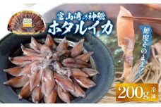 鮮度そのまま！富山湾の神秘ホタルイカ しゃぶしゃぶ用 200g 〈冷凍〉
