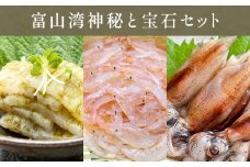 富山湾の神秘”ほたるいか”と富山湾の宝石”白エビ”セット 〈冷凍〉 富山 氷見 ホタルイカ 白えび 魚介 加工品 昆布締め 凍眠凍結 刺身 富山湾産 殻付き