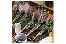 越中氷見屋　ホタルイカ 素干し 18尾入り × 5袋 〈冷凍〉 