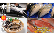 【定期便（全６回）奇数月】 豪華海鮮 氷見漁港 直送 ！ミシュラン星付き店にも卸す松本魚問屋が厳選 富山湾 氷見 産地直送 オーダーメイド 頒布会 コンシェルジュ 天然 寒鰤 ブリ のどぐろ 