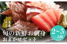 ＜冷蔵便＞ 氷見漁港朝どれ！旬の新鮮お刺身おまかせセット ２〜３人前 | 配送地域限定 柵どり