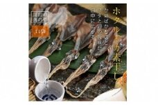 越中氷見屋　ホタルイカ 素干し 18尾入り × 11袋 〈冷凍〉 
