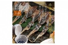 越中氷見屋　ホタルイカ 魚醤干し 18尾入り × 11袋 〈冷凍〉 