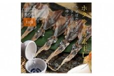 越中氷見屋　ホタルイカ 素干し 18尾入り × 18袋　〈冷凍〉 