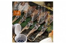 越中氷見屋　ホタルイカ 魚醤干し 18尾入り × 18袋　〈冷凍〉 