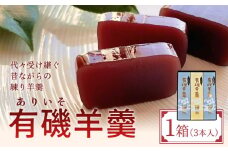 〈井上菓子舗〉 有磯羊羹（ありいそようかん）3本入　
