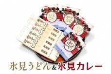 氷見うどん細麺6本入りと洋食屋ハローの氷見カレー4個セット  | カレー インスタント レトルト ご当地 洋食屋 惣菜 レトルトカレー お取り寄せ イワシ 煮干し 簡単 調理 ４袋 氷見うどん ６袋 細麺 高級 海津屋 氷見 うどん 乾麺 送料無料 手延べ 常温 保存 高級うどん 麺 富山 氷見