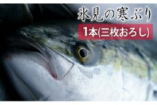 氷見の寒ぶり一本（三枚おろし）真空パック【ひみ水産】※配送エリア限定※
