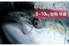 ＜半身＞氷見の寒ぶり　8～10kg台物 真空パック【ひみ水産】※配送エリア限定※
