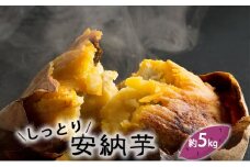 【先行予約】富山県産 さつまいも（しっとり！安納芋）約5kg ＜12月以降順次発送予定＞　サツマイモ 安納芋