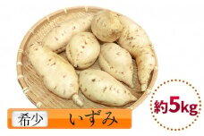 【先行予約】富山県産さつまいも いずみ 約5kg サツマイモ イズミ＜12月以降順次発送予定＞