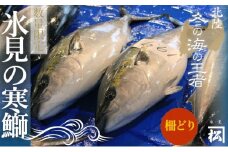 天然寒鰤 『ひみ寒ぶり』一本丸ごと便（柵どり処理）※配送エリア限定※　｜　富山湾 氷見 氷見漁港 能登 寒ブリ １本 天然鰤 サク 処理 松本魚問屋 天然 鮮魚 ブリ 産地直送 