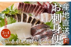 【偶数月 全3回 定期便】 魚問屋直送！氷見漁港で競り落としたお刺身詰め合わせセット 〈冷凍〉　