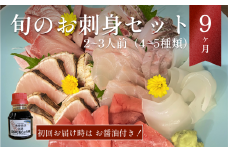 ＜９ヶ月定期便＞【配送地域限定】 産地直送 氷見漁港 朝どれ鮮魚お刺身セット　お届け指定なし