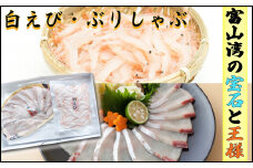 鮮度そのまま！『ぶり、白えび』生冷凍セット