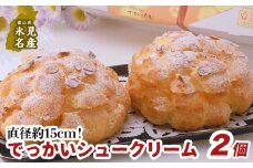 直径約15cm！ でっかいシュークリーム 2個入【土曜日着】 洋菓子 シュークリーム 大きい