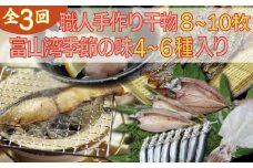 【年間3回定期便】『ホタルイカ』『白えび』『氷見ぶり』季節の味と熟練職人手捌きの一夜干真空パックセット