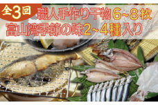 【年間3回定期便】『ホタルイカ』『白えび』『氷見ぶり』季節の味と熟練職人手捌きの一夜干真空パック