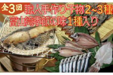 【年間3回定期便】職人手作り地魚一夜干真空パックと富山湾季節の味(氷見ぶり、ホタルイカ、みりん干）
