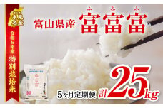 【特別栽培米】 〈5ヶ月定期便〉令和６年産 富山県産特別栽培米 富富富5kg　｜　ふふふ 富富富 定期便 5ヶ月 毎月 25kg お米 白米 精米 氷見 富山 米 国産 特別栽培 5kg エコファーマー 数量限定 期間限定 プレミアム ブランド米 特別栽培米 安心 環境にやさしい 新米