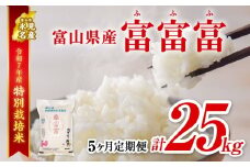 【特別栽培米】 〈5ヶ月定期便〉令和7年産 富山県産特別栽培米 富富富5kg　｜　ふふふ 富富富 定期便 5ヶ月 毎月 25kg お米 白米 精米 氷見 富山 米 国産 特別栽培 5kg エコファーマー 数量限定 期間限定 プレミアム ブランド米 特別栽培米 安心 環境にやさしい 新米