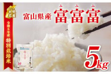 【特別栽培米】令和６年産 富山県産 "富富富" ５kg  ｜ ふふふ 富富富 お米 白米 精米 氷見 富山 米 国産 特別栽培 5kg エコファーマー 数量限定 期間限定 プレミアム ブランド米 特別栽培米 安心 環境にやさしい 新米