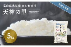 【特別栽培米】 令和６年産 富山県産 特別栽培米 コシヒカリ "天神の里" ５kg ｜　お米 白米 精米 氷見 富山 米 国産 特別栽培 5kg エコファーマー 数量限定 コシヒカリ こしひかり 人気 お取り寄せ 減農薬 減化学肥料 安心 安全 環境にやさしい 農家直送