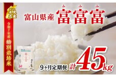 【特別栽培米】 〈9ヶ月定期便〉令和7年産 富山県産特別栽培米 富富富5kg　｜ ふふふ 富富富 定期便 ９ヶ月 毎月 ４５kg お米 白米 精米 氷見 富山 米 国産 特別栽培 5kg エコファーマー 数量限定 期間限定 プレミアム ブランド米 特別栽培米 安心 環境にやさしい 新米