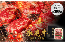 氷見牛焼肉セット梅（カルビ＆豚バラ約300g）（9月お届け）