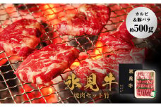 氷見牛焼肉セット竹（カルビ＆豚バラ約500g）（4月お届け）