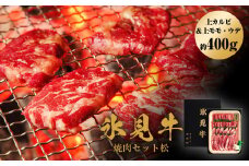 氷見牛焼肉セット松（上カルビ＆上モモ・ウデ約400g）（4月お届け）