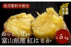 富山県産さつまいも（ねっとり！紅はるか）約5kg 富山県 氷見市 サツマイモ 芋 ねっとり