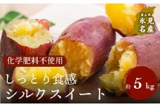 富山県産さつまいも（しっとり！シルクスイート）約5kg 富山県 氷見市 サツマイモ 芋 しっとり なめらか