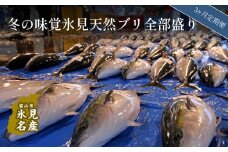 【3回定期便】冬の味覚氷見天然ブリ全部盛りセット！