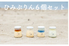 ひみぷりん 6個セット  ｜ なめらかプリン ギフトに最適！