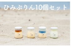 ひみぷりん 10個セット  ｜ なめらかプリン ギフトに最適！