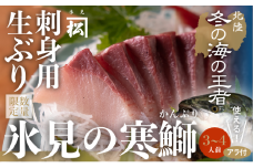 【魚問屋直送】天然「生ひみ寒ぶり」刺身用 約400g＜アラ付き＞  期間・数量限定！