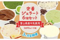 【3ヶ月定期便】定番ジェラート6個セット 〈Himi Gelato〉|  ピスタチオ ミルク いちごのミルフィーユ チョコレート 抹茶 チョコチップ 