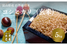 ＜玄米＞令和6年産富山県産自然栽培米コシヒカリ5kg  富山県 氷見市 自然栽培 こしひかり 玄米