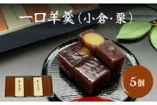 〈井上菓子舗〉 一口羊羹 小倉・栗 合計5個 セット