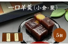 〈井上菓子舗〉 一口羊羹 小倉・栗 合計5個 セット