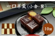 〈井上菓子舗〉 一口羊羹 小倉・栗 合計10個 セット