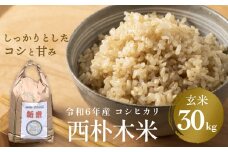 【先行予約】令和6年産  西朴木米30kgコシヒカリ 玄米 富山県 氷見市 コシヒカリ 玄米 ＜2024年9月25日以降順次発送予定＞