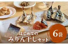 はじめてのみりん干しセット 中村海産 富山県 氷見市 魚介 干物 味醂干し 丸干し 魚介 おつまみ おかず