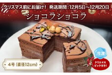 【クリスマスまでにお届け】チョコレートケーキ 4号 ショコラショコラ パティスリーシュン ｜ チョコケーキ チョコレート ギフト プレゼント 誕生日 焼き菓子 贈り物 冷凍 人気 ホールケーキ スイーツ お菓子 洋菓子 お取り寄せ 富山 氷見 クリスマス クリスマスケーキ