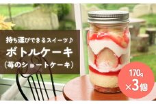 ボトルケーキ 3個 いちごのショートケーキ パティスリーシュン 富山県 氷見市 ケーキ缶 スイーツ ギフト プレゼント サイクリング おやつ 贈り物