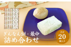 和菓子詰め合わせ2種（餅、最中）セット ぎんなん餅本舗おがや 富山県 氷見市 和菓子 銀杏 餅 最中 お茶請け 詰め合わせ 冠婚葬祭 ギフト プレゼント