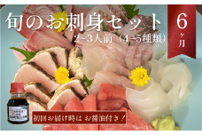 【6ヶ月お届け】産地直送 朝どれ! 旬の鮮魚お刺身セット9月開始　平日お届け